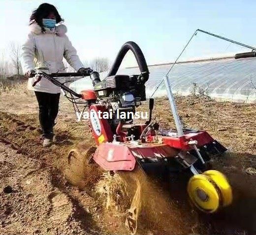 Benzinski motor za rukovanje